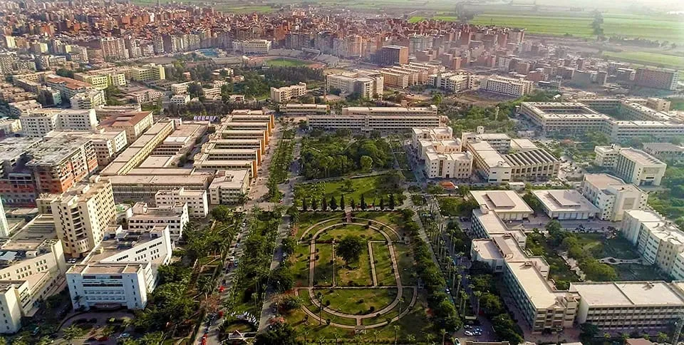 مجلس جامعة المنصورة