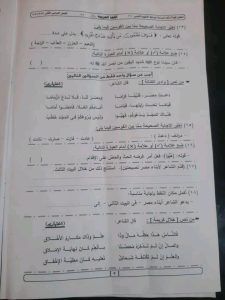 حل امتحان اللغة العربية للصف الثالث الإعدادي بالجيزة 2026