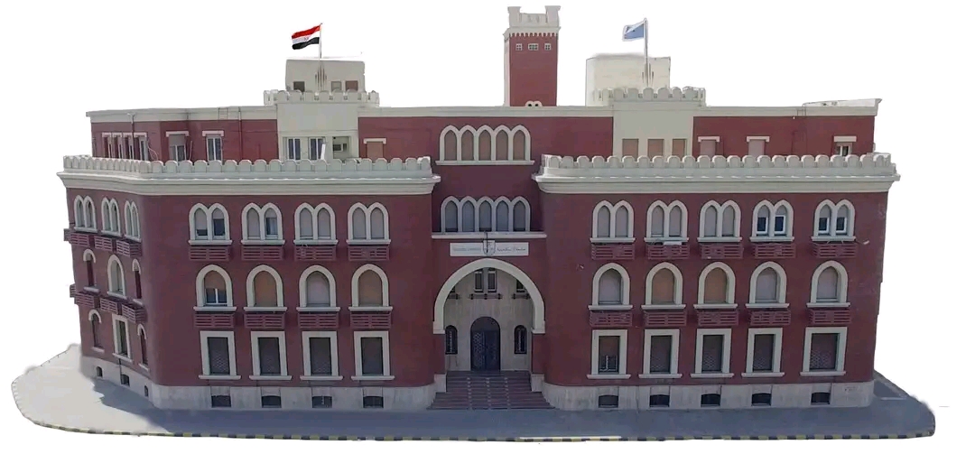 مستشفى سرطان الأطفال الجامعي ببرج العرب ينجح في استئصال ورم أرومي عصبي متقدم