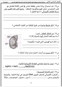 مراجعة ليلة الإمتحان.. نموذج استرشادي جديد لمادة العلوم لطلاب الشهادة الإعدادية 2026 7 FB IMG 1781091625925 الشهادة الإعدادية 2026 مراجعة ليلة الإمتحان.. نموذج استرشادي جديد لمادة العلوم لطلاب الشهادة الإعدادية 2026 موقع في الجامعة