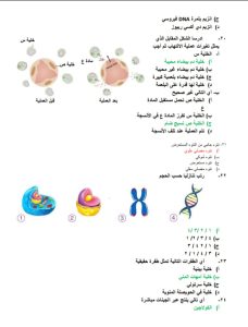 مراجعة الفرصة الأخيرة.. 24 سؤالًا بالأحياء مع الحل النموذجي لطلاب الثانوية العامة