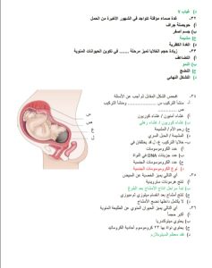اختبر معلوماتك.. مستر محمد عبد السلام يوضح عبر"في الجامعة" أهم 16 سؤالًا في الأحياء لطلاب الثانوية العامة
