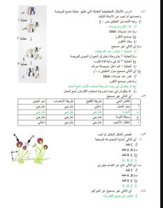 للثانوية العامة.. في الجامعة ينشر 25 سؤالًا مهمًا في الأحياء مع الإجابات للمستر محمد عبد السلام