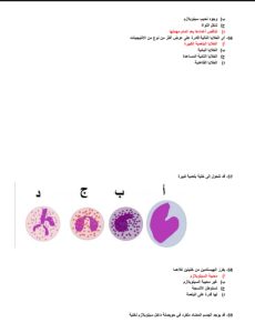 ادخل الامتحان وأنت مطمن.. مراجعة نهائية في الأحياء لطلاب الثانوية العامة بـ 36 سؤالًا 2 ادخل الامتحان وأنت مطمن.. مراجعة نهائية في الأحياء لطلاب الثانوية العامة بـ 36 سؤالًا