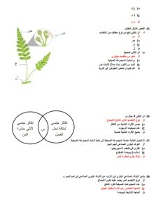 ادخل الامتحان وأنت مطمن.. مراجعة نهائية في الأحياء لطلاب الثانوية العامة بـ 36 سؤالًا 7 ادخل الامتحان وأنت مطمن.. مراجعة نهائية في الأحياء لطلاب الثانوية العامة بـ 36 سؤالًا