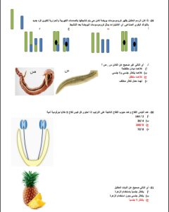 ادخل الامتحان وأنت مطمن.. مراجعة نهائية في الأحياء لطلاب الثانوية العامة بـ 36 سؤالًا 6 ادخل الامتحان وأنت مطمن.. مراجعة نهائية في الأحياء لطلاب الثانوية العامة بـ 36 سؤالًا