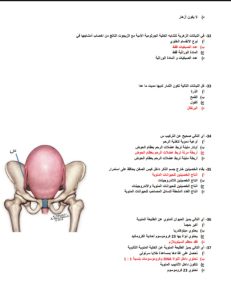 ادخل الامتحان وأنت مطمن.. مراجعة نهائية في الأحياء لطلاب الثانوية العامة بـ 36 سؤالًا 5 IMG 20260607 WA0124 الأحياء ادخل الامتحان وأنت مطمن.. مراجعة نهائية في الأحياء لطلاب الثانوية العامة بـ 36 سؤالًا موقع في الجامعة