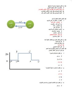 الخلاصة.. أقوى 24 سؤالًا بالأحياء بالإجابات من إعداد مستر محمد عبد السلام عبر في الجامعة 2 الخلاصة.. أقوى 24 سؤالًا بالإجابات من إعداد مستر محمد عبد السلام عبر في الجامعة
