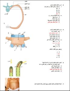 الخلاصة.. أقوى 24 سؤالًا بالأحياء بالإجابات من إعداد مستر محمد عبد السلام عبر في الجامعة 5 الخلاصة.. أقوى 24 سؤالًا بالإجابات من إعداد مستر محمد عبد السلام عبر في الجامعة