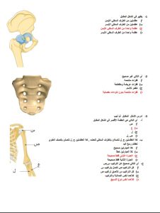 الخلاصة.. أقوى 24 سؤالًا بالأحياء بالإجابات من إعداد مستر محمد عبد السلام عبر في الجامعة 6 الخلاصة.. أقوى 24 سؤالًا بالإجابات من إعداد مستر محمد عبد السلام عبر في الجامعة