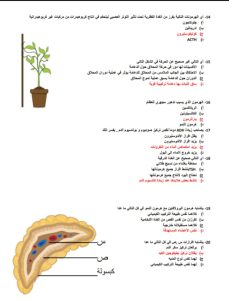 الخلاصة.. أقوى 24 سؤالًا بالأحياء بالإجابات من إعداد مستر محمد عبد السلام عبر في الجامعة 3 الخلاصة.. أقوى 24 سؤالًا بالإجابات من إعداد مستر محمد عبد السلام عبر في الجامعة