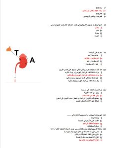 الخلاصة.. أقوى 24 سؤالًا بالأحياء بالإجابات من إعداد مستر محمد عبد السلام عبر في الجامعة 4 IMG 20260607 WA0129 الأحياء الخلاصة.. أقوى 24 سؤالًا بالأحياء بالإجابات من إعداد مستر محمد عبد السلام عبر في الجامعة موقع في الجامعة
