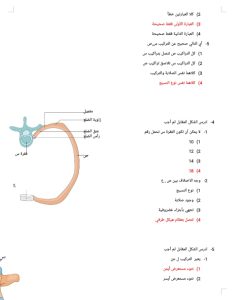 الأحياء في 24 سؤال.. مراجعة قبل الامتحان للثانوية العامة 7 الأحياء في 24 سؤال.. مراجعة قبل الامتحان للثانوية العامة