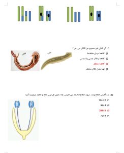 IMG 20260609 WA0081 الفيزياء ذاكرهم بعناية..24 سؤال في الفيزياء مهم لطلاب الثانوية العامة 2026 موقع في الجامعة