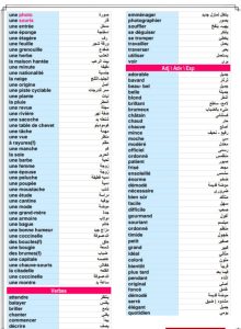اللغة الفرنسية للثانوية العامة.. 6 صفحات مراجعة شاملة قبل الامتحان