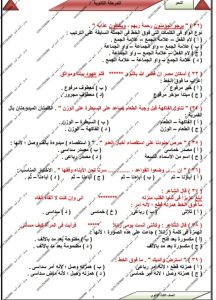 IMG 20260613 WA0079 النحو الخلاصة.. 70 سؤالًا في النحو هتجيب معاك الدرجة النهائية موقع في الجامعة