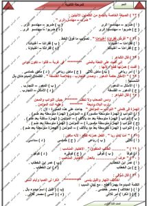 IMG 20260613 WA0082 النحو الخلاصة.. 70 سؤالًا في النحو هتجيب معاك الدرجة النهائية موقع في الجامعة
