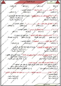 الخلاصة.. 70 سؤالًا في النحو هتجيب معاك الدرجة النهائية