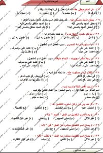 لطلاب الثانوية العامة.. مستر أحمد أمين يقدم عبر "في الجامعة" 30 سؤالًا متوقعًا في النحو