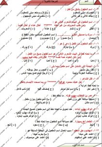 لطلاب الثانوية العامة.. مستر أحمد أمين يقدم عبر "في الجامعة" 30 سؤالًا متوقعًا في النحو