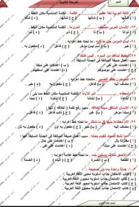 «الخلاصة في النحو».. 7 صفحات من إعداد أحمد أمين لطلاب الثانوية العامة قبل الامتحان