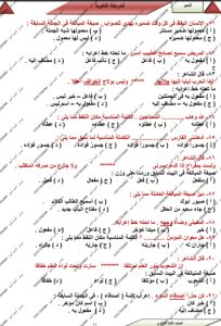 IMG 20260614 WA0043 1 النحو "الخلاصة في النحو".. 7 صفحات من إعداد مستر أحمد أمين لطلاب الثانوية العامة قبل الامتحان موقع في الجامعة