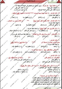 «الخلاصة في النحو».. 7 صفحات من إعداد أحمد أمين لطلاب الثانوية العامة قبل الامتحان
