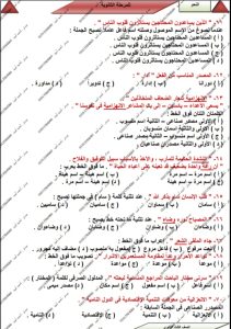 «الخلاصة في النحو».. 7 صفحات من إعداد أحمد أمين لطلاب الثانوية العامة قبل الامتحان