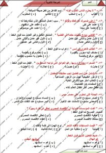 «الخلاصة في النحو».. 7 صفحات من إعداد أحمد أمين لطلاب الثانوية العامة قبل الامتحان