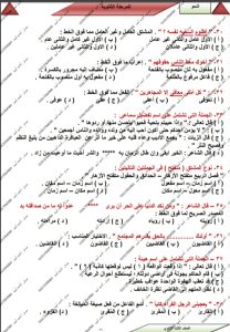 «الخلاصة في النحو».. 7 صفحات من إعداد أحمد أمين لطلاب الثانوية العامة قبل الامتحان