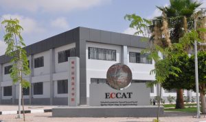 جامعة قناة السويس تعلن نتيجة الفرقة الرابعة بالكلية المصرية الصينية 