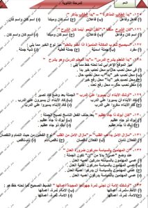 مراجعة النحو في 10 صفحات.. أحمد أمين يقدم الخلاصة النهائية لطلاب الثانوية العامة