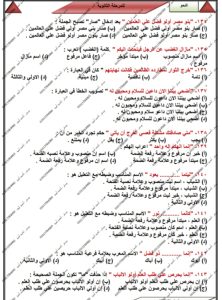 مراجعة النحو في 10 صفحات.. أحمد أمين يقدم الخلاصة النهائية لطلاب الثانوية العامة
