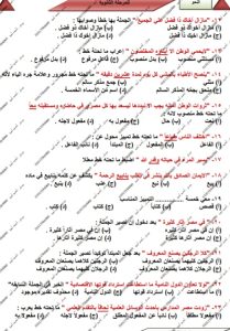 IMG 20260616 WA0121 النحو مراجعة النحو في 10 صفحات.. أحمد أمين يقدم الخلاصة النهائية لطلاب الثانوية العامة موقع في الجامعة