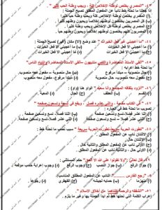 مراجعة النحو في 10 صفحات.. أحمد أمين يقدم الخلاصة النهائية لطلاب الثانوية العامة