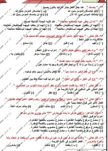 IMG 20260617 WA0198 النحو احسم درجات النحو.. مراجعة نهائية في 5 صفحات من مستر أحمد أمين لطلاب الثانوية العامة 2026 موقع في الجامعة