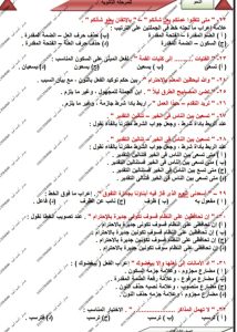 احسم درجات النحو.. مراجعة نهائية في 5 صفحات من مستر أحمد أمين