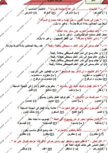 احسم درجات النحو.. مراجعة نهائية في 5 صفحات من مستر أحمد أمين