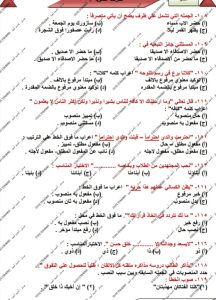 تدريب مكثف قبل امتحانات الثانوية العامة.. 60 سؤالًا في النحو وإجاباتها النموذجية