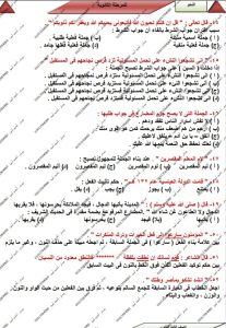 IMG 20260618 WA0094 النحو 60 سؤالًا في النحو.. مراجعة شاملة من المستر أحمد أمين لطلاب الثانوية العامة موقع في الجامعة