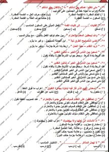 60 سؤالًا في النحو.. مراجعة شاملة من المستر أحمد أمين لطلاب الثانوية العامة