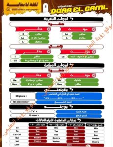 IMG 20260622 WA0136 الإيطالية 50 سؤالًا بالحل في اللغة الإيطالية.. المراجعة النهائية المضمونة لطلاب الثانوية العامة قبل الامتحان موقع في الجامعة