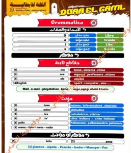 IMG 20260622 WA0137 الإيطالية 50 سؤالًا بالحل في اللغة الإيطالية.. المراجعة النهائية المضمونة لطلاب الثانوية العامة قبل الامتحان موقع في الجامعة