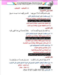 IMG 20260624 WA0068 1 نهائية مراجعة نهائية في اللغة العربية.. 18 صفحة تضم أهم الأسئلة المتوقعة لطلاب الثانوية العامة موقع في الجامعة