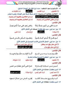 IMG 20260624 WA0069 1 نهائية مراجعة نهائية في اللغة العربية.. 18 صفحة تضم أهم الأسئلة المتوقعة لطلاب الثانوية العامة موقع في الجامعة