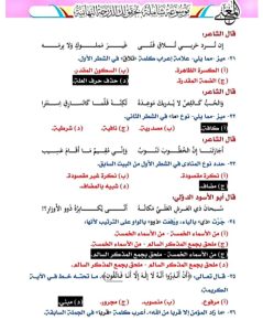 IMG 20260624 WA0080 1 نهائية مراجعة نهائية في اللغة العربية.. 18 صفحة تضم أهم الأسئلة المتوقعة لطلاب الثانوية العامة موقع في الجامعة