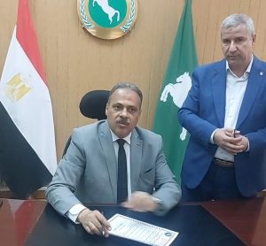بالأسماء والمدارس.. قائمة أوائل الشهادة الإعدادية 2026 بمحافظة الشرقية بعد الاعتماد رسميًا 4 قائمة أوائل الشهادة الإعدادية 2026 بمحافظة الشرقية