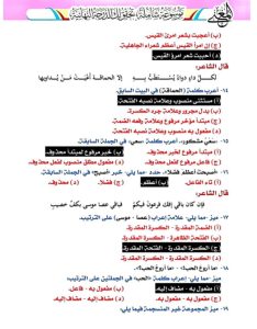 IMG 20260624 WA0081 1 نهائية مراجعة نهائية في اللغة العربية.. 18 صفحة تضم أهم الأسئلة المتوقعة لطلاب الثانوية العامة موقع في الجامعة
