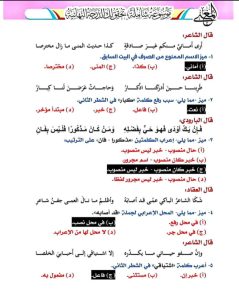 IMG 20260624 WA0082 نهائية مراجعة نهائية في اللغة العربية.. 18 صفحة تضم أهم الأسئلة المتوقعة لطلاب الثانوية العامة موقع في الجامعة