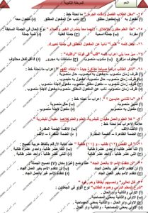 IMG 20260627 WA0057 النحو أكثر من 100 سؤال في النحو.. مراجعة نهائية بالحل من مستر أحمد أمين لطلاب الثانوية العامة موقع في الجامعة